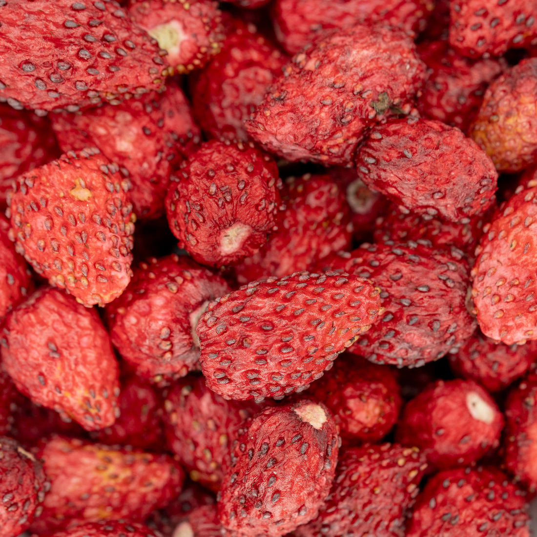 Liofilizuotos miško žemuogės  15 g